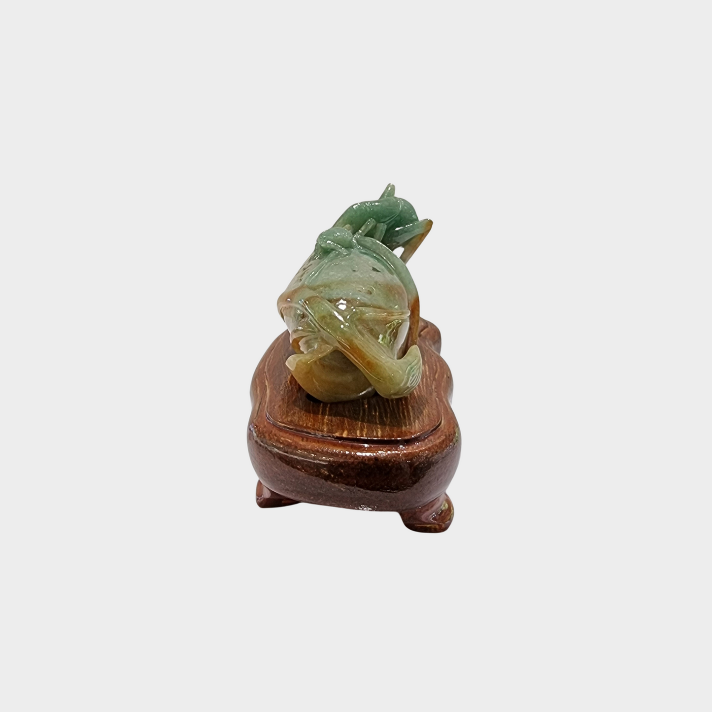"Bug and Dried Leaf" Jadeite Jade Display
