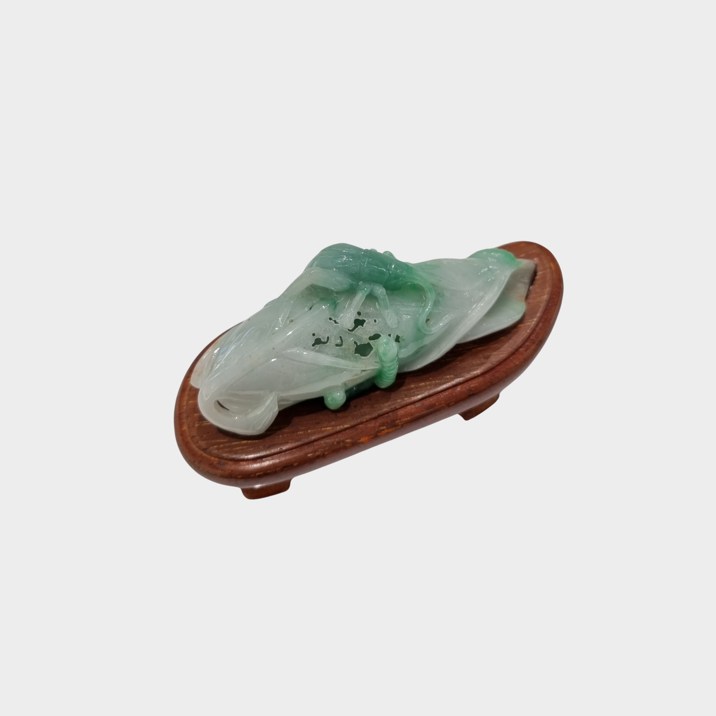 "Bug and Leaf" Jadeite Jade Display