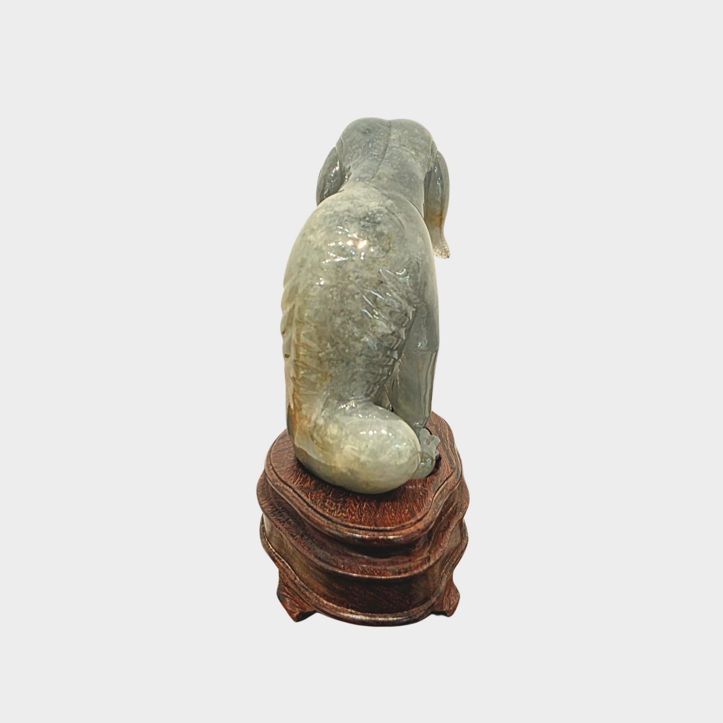 "The Starving Dog" Jadeite Jade Display