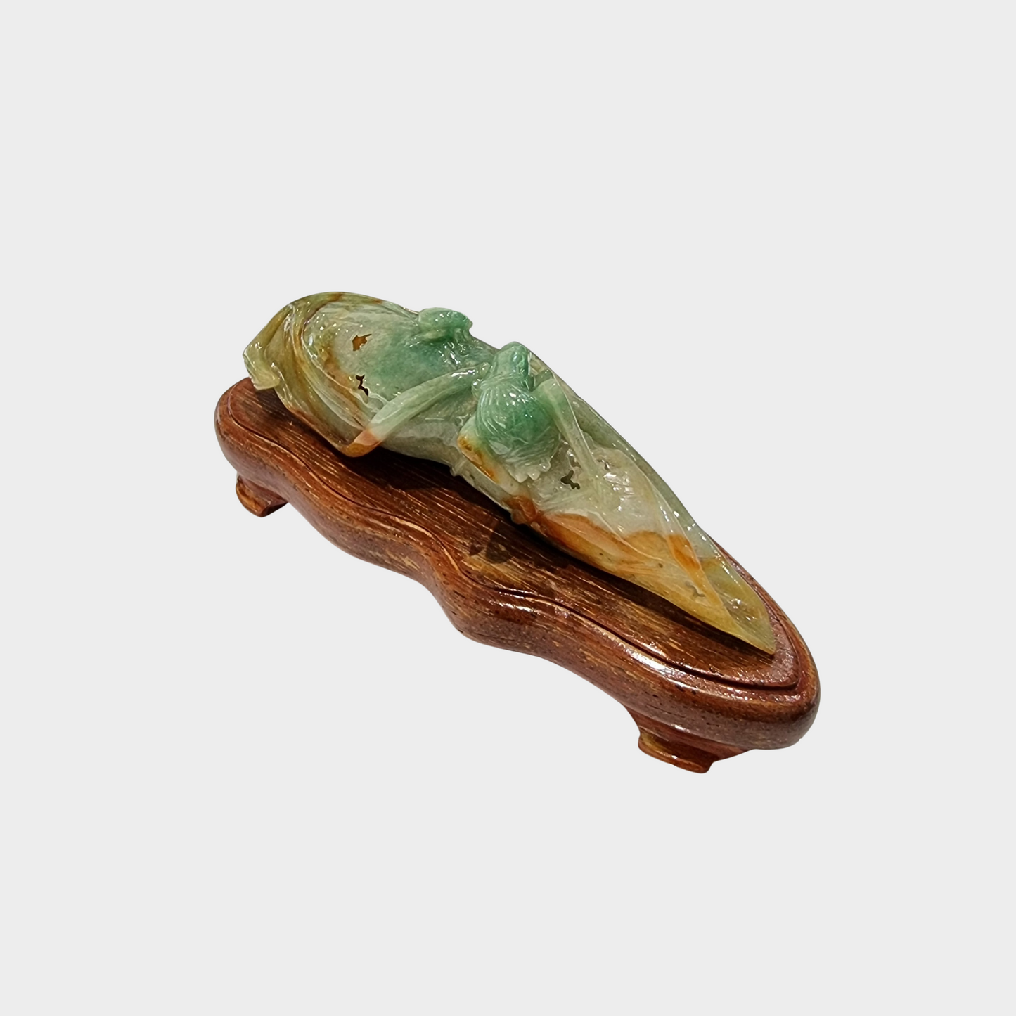 "Bug and Dried Leaf" Jadeite Jade Display