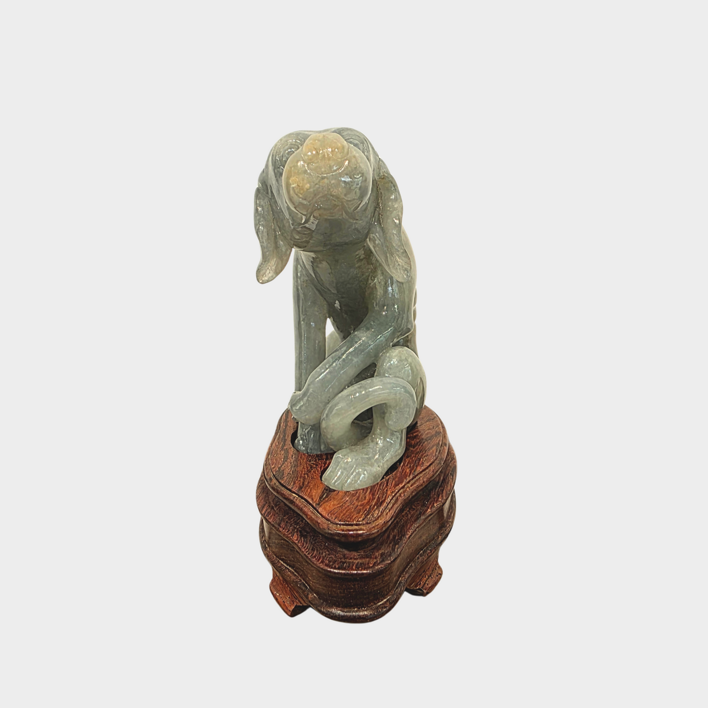 "The Starving Dog" Jadeite Jade Display
