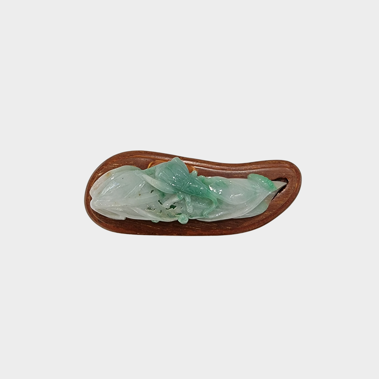 "Bug and Leaf" Jadeite Jade Display