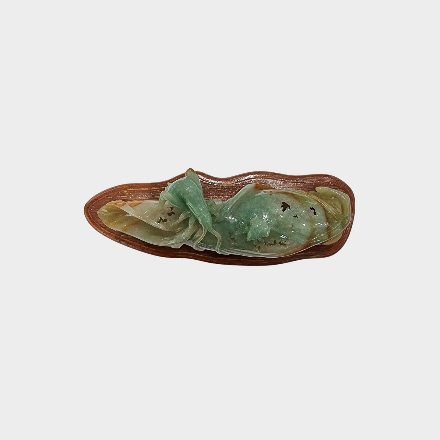 "Bug and Dried Leaf" Jadeite Jade Display