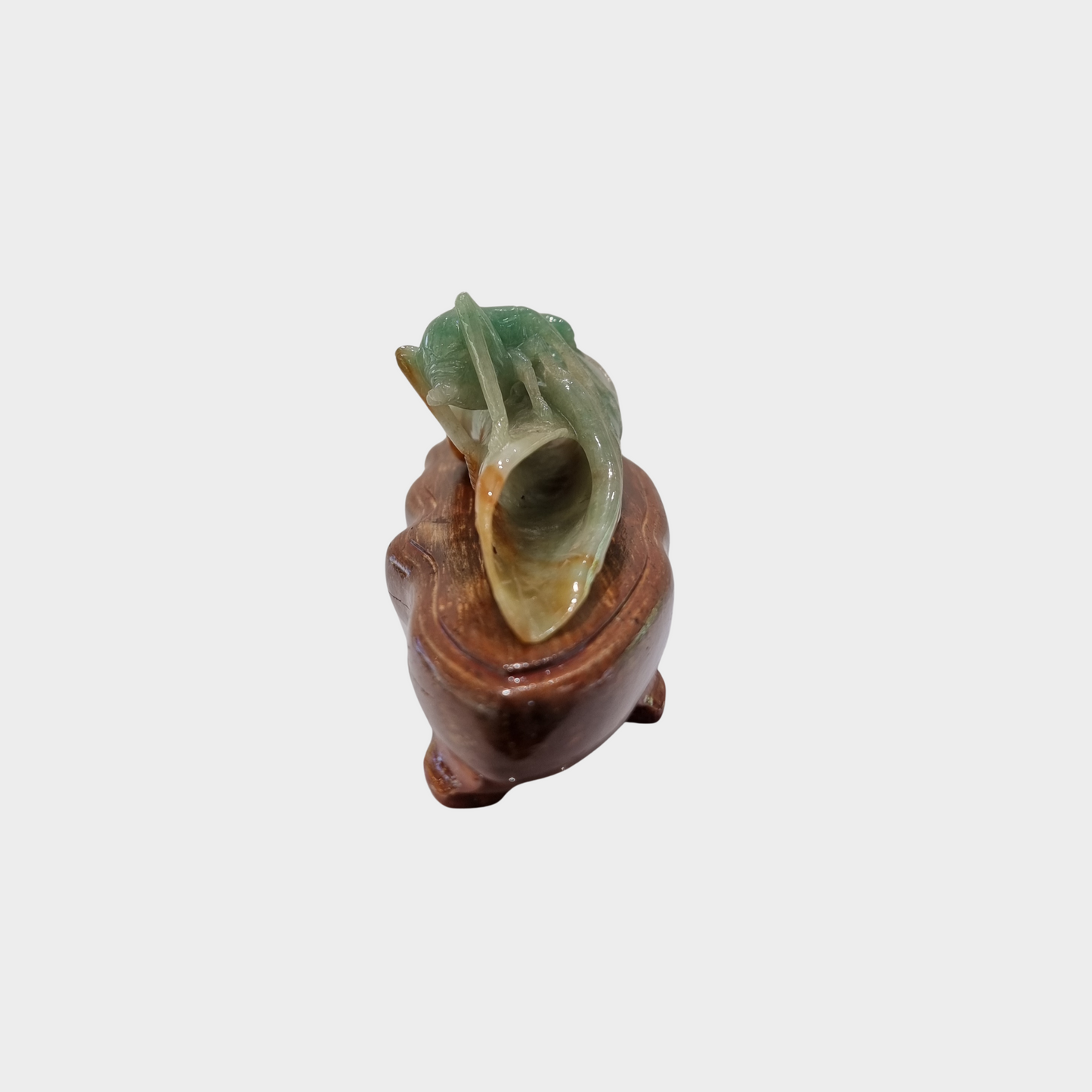 "Bug and Dried Leaf" Jadeite Jade Display