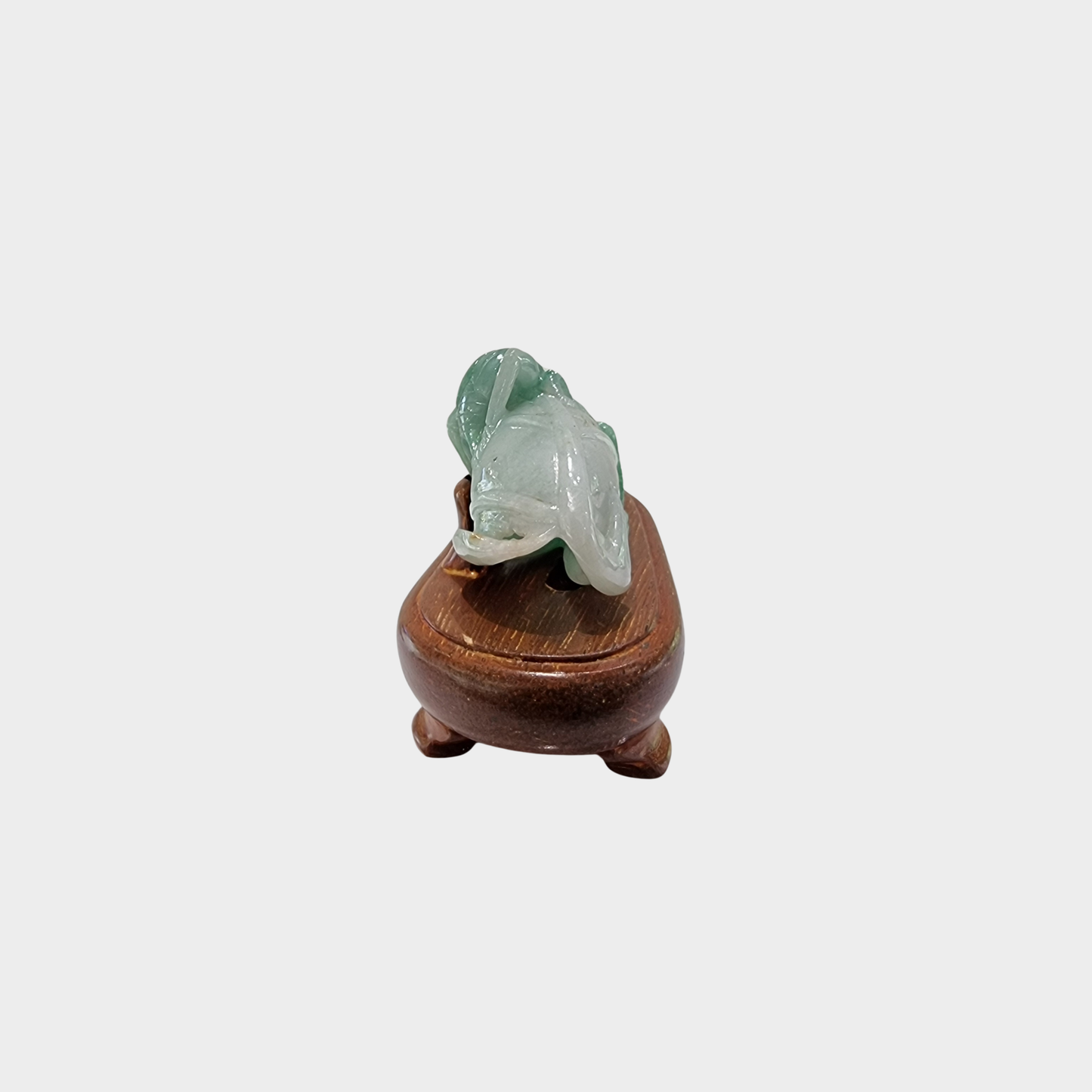 "Bug and Leaf" Jadeite Jade Display