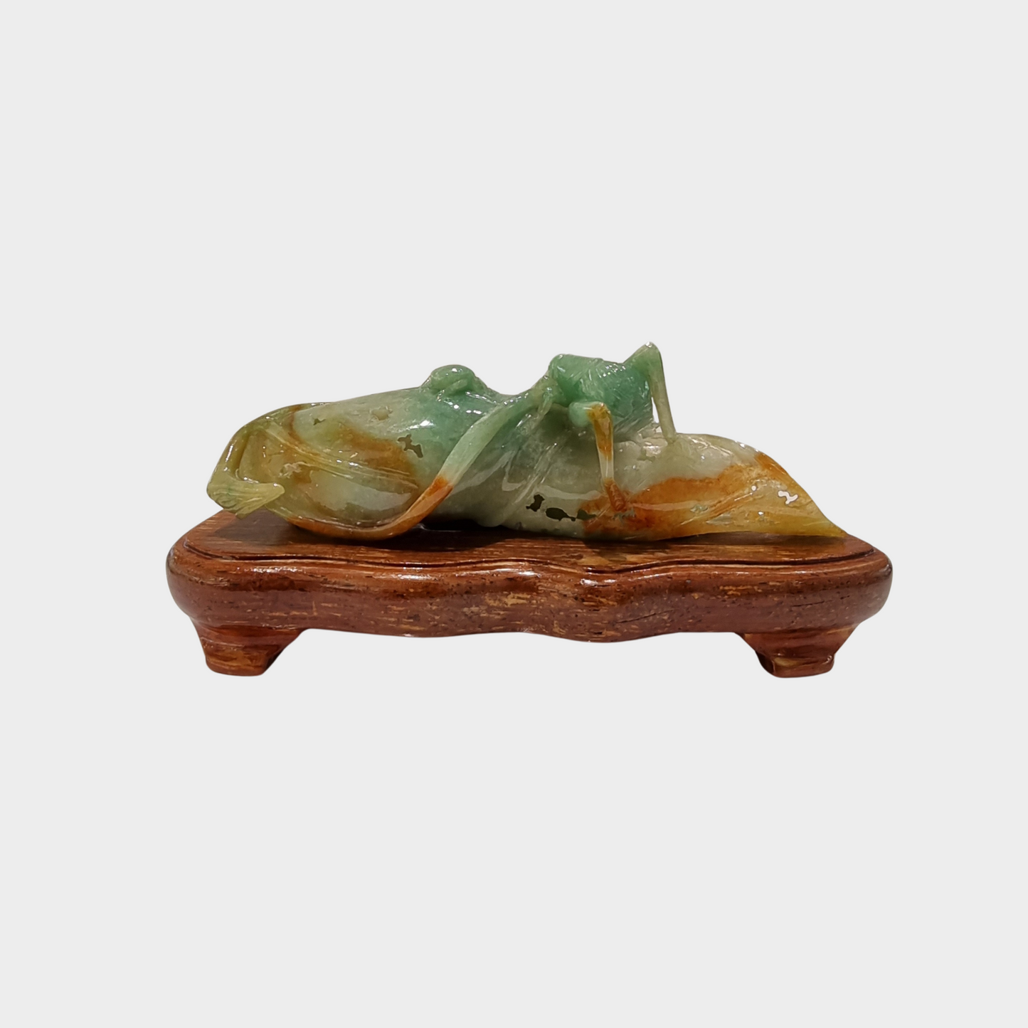 "Bug and Dried Leaf" Jadeite Jade Display