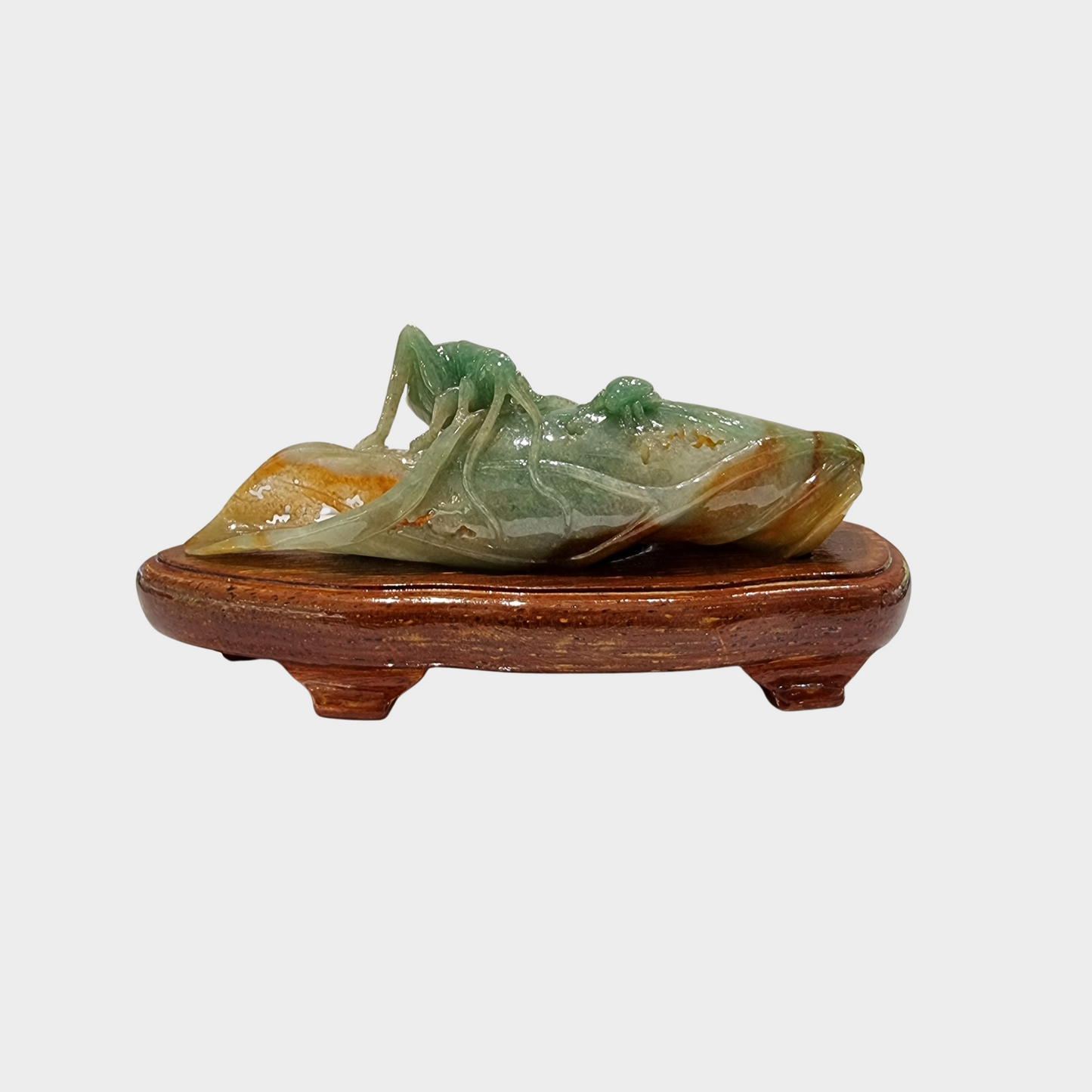 "Bug and Dried Leaf" Jadeite Jade Display