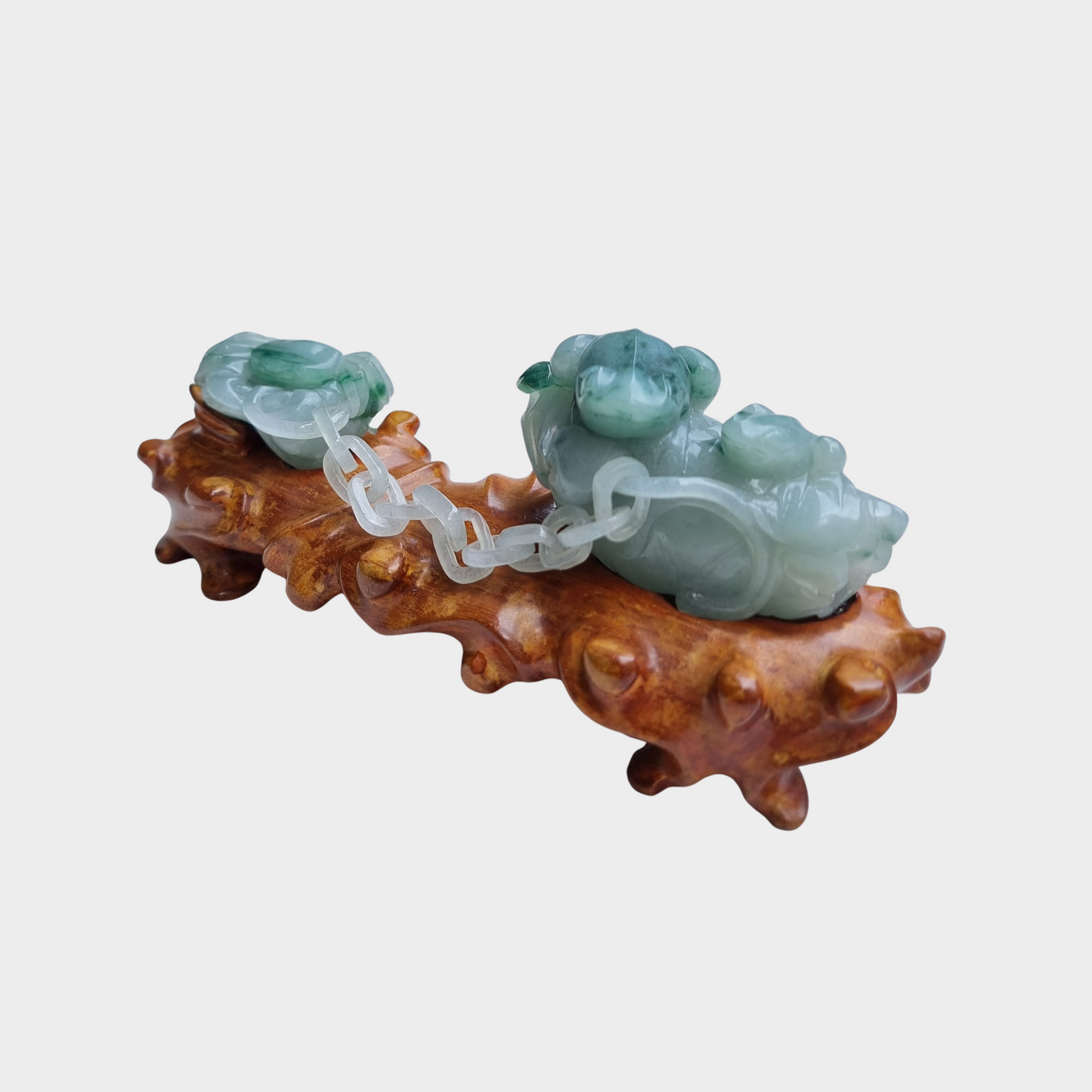 "The Calm Vertebrates" Jadeite Jade Display