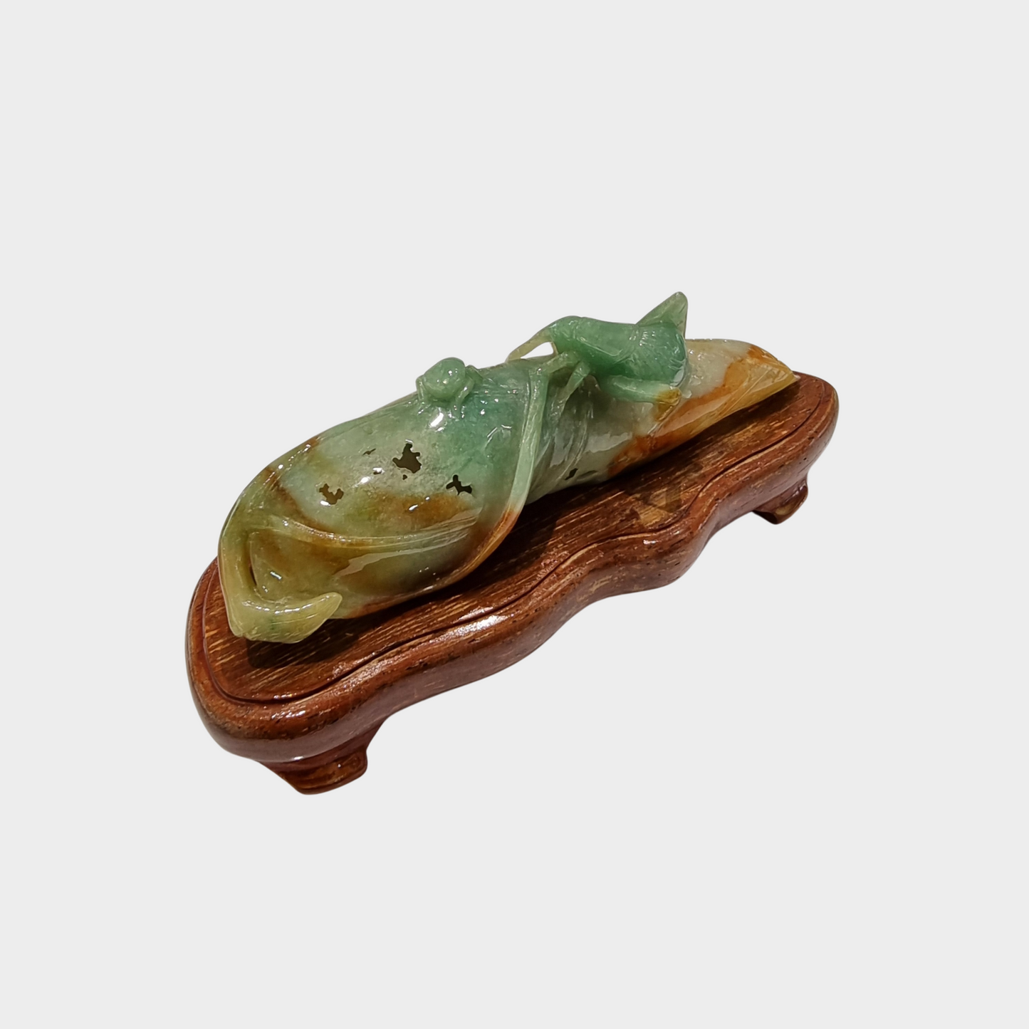 "Bug and Dried Leaf" Jadeite Jade Display