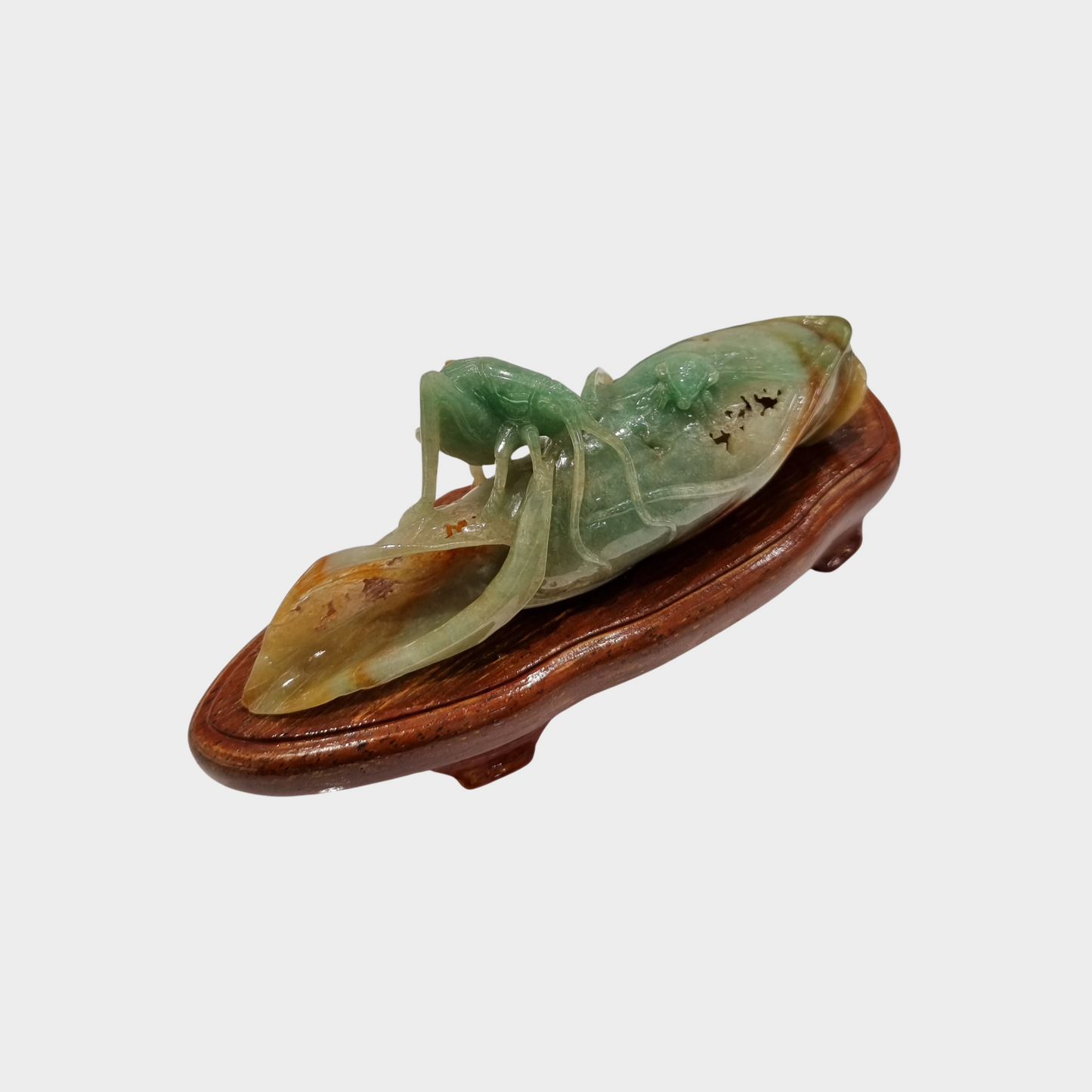 "Bug and Dried Leaf" Jadeite Jade Display