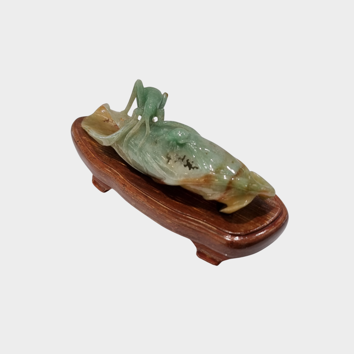 "Bug and Dried Leaf" Jadeite Jade Display